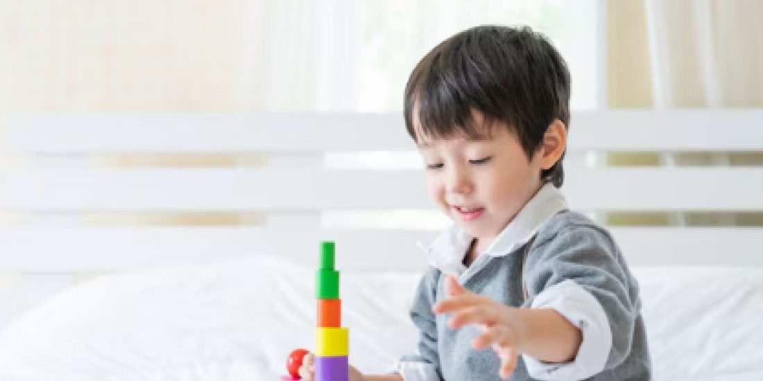 Cấu trúc và vai trò của hệ xương